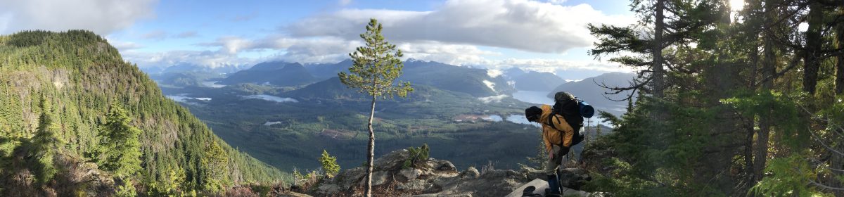 Harmony Online Journal – Youth Voices on Science, Law and Sustainability 